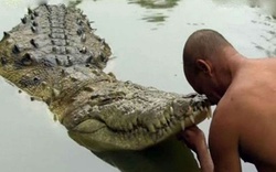 Nhiều người lũ lượt kéo đến ngôi đền thiêng liêng xem con cá sấu "ăn chay" sống hơn 70 năm 
