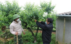Quỹ Hỗ trợ nông dân giúp nông dân Vân Hồ vượt khó, làm giàu