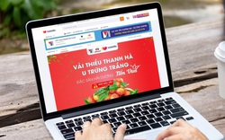 Việt Nam dự kiến là thị trường phát triển thương mại điện tử nhanh nhất vào năm 2026