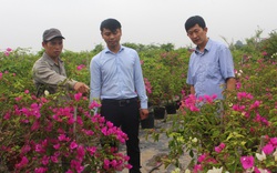 Hà Nội: Nông dân Gia Lâm thi đua “3 nhóm mô hình, 10 phần việc” giúp đồng sạch, đường xanh đẹp 
