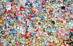 Thế giới khoa học: Vi nhựa được tìm thấy trong máu người