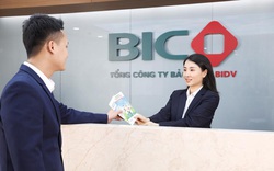 BIC:  Mục tiêu lợi nhuận “đi lùi” 23% trong năm 2022, dự chi cổ tức tỷ lệ 12%