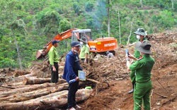 Vụ phá 1,9ha rừng ở Bảo Lâm: Tạm đình chỉ công tác Chủ tịch xã Lộc Phú