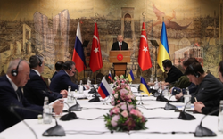 NÓNG: Nga-Ukraine bắt đầu đàm phán mà 'không bắt tay, không ăn uống', bất ngờ lý do phía sau 