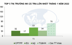 Xuất khẩu cá tra sang thị trường Trung Quốc tăng trưởng gấp 3 lần