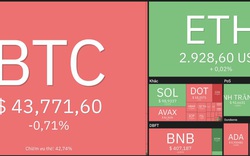 Giá Bitcoin hôm nay 3/3: Bitcoin giảm nhẹ, thị trường giao dịch ổn định