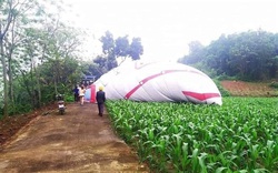 Thực hư việc khinh khí cầu Tuyên Quang bị rơi ngoài đường nhựa, giữa ruộng ngô