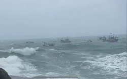 Ngư dân Bình Định "đau xót" nhìn tàu cá bị chìm do sóng lớn