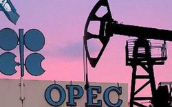 OPEC+ nhất trí nâng thêm sản lượng dầu kể từ tháng 5/2022