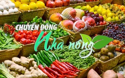 Chuyển động Nhà nông 31/3: Bộ Công Thương sẽ hợp tác với Alibaba và Amazon để tiêu thụ nông sản