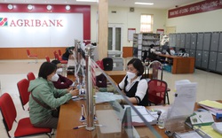 Agribank Chi nhánh huyện Mai Sơn đẩy mạnh thanh toán tiền điện qua tài khoản, cấp hạn mức thấu chi