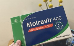 Sử dụng bừa bãi thuốc Molnupiravir, coi chừng hư gan, hại thận