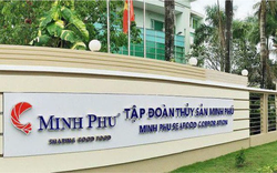 Thủy sản Minh Phú (MPC) được quyền sử dụng chỉ dẫn địa lý sản phẩm tôm tại Cà Mau