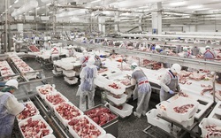 Ảnh hưởng chiến sự Nga - Ukraine: Thế giới sẽ thiếu thịt lợn, thịt gà do Nga cấm xuất khẩu?