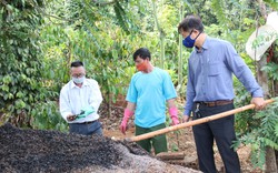 Đắk Lắk: Ngày trước những thứ này đem đốt bỏ, nay ủ làm phân bón, đúng là "nhất cử lưỡng tiện"