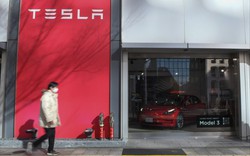 Tesla tính ra mắt chiếc xe điện đặc biệt giành riêng cho người Trung Quốc khi doanh số bán hàng tại đây đạt kỷ lục