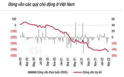 Cổ phiếu liên quan đến hàng hóa và cảng biển hút dòng tiền khối ngoại