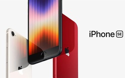 iPhone SE 2022 đã có giá dự kiến và thời gian lên kệ tại Việt Nam