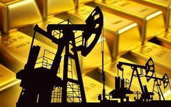 Mỹ chính thức cấm dầu Nga khiến giá dầu phá kỷ lục 14 năm, cảnh báo chạm mức 300 USD/thùng