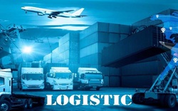 Việt Nam đang có bao nhiêu doanh nghiệp tham gia ngành logistics và quản lý chuỗi cung ứng?
