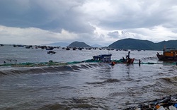 Khánh Hòa: Mưa to, gió bất ngờ làm thiệt hại trên 4 tỷ đồng