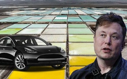 Tỷ phú Elon Musk gây bất ngờ lấn sân sang ngành công nghiệp mới