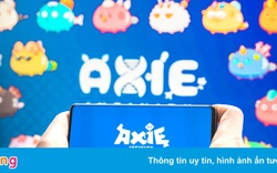 Đồng sáng lập Sky Mavis xin lỗi người chơi Axie Infinity