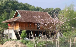 Về Mường Phăng ngắm không gian bản làng của đồng bào Thái ở Điện Biên