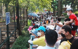 Ngày cao điểm nhất dịp lễ Giỗ tổ Hùng Vương, hơn 50 nghìn lượt khách đến Vườn thú Hà Nội 