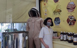 Tin vui cho mật ong Việt Nam