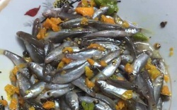 Cá rầm mùa lụt ở Quảng Nam là loài cá gì mà bắt được chỉ đem kho lá nghệ là thơm cả làng?