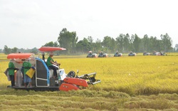 Lợi nhuận quý 1 đạt 184 tỷ đồng, Lộc Trời “bật mí” về bảo hiểm nông nghiệp đầu tiên tại Việt Nam