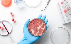 Israel phát triển công nghệ thúc đẩy sản xuất thịt nhân tạo quy mô lớn