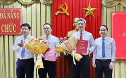 Phó trưởng Ban Tổ chức Thành ủy Đà Nẵng xin nghỉ hưu trước tuổi