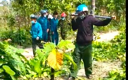 Vụ nhân viên bảo vệ rừng bị hành hung, dọa giết cả nhà: Đề nghị xử lý nghiêm đối tượng