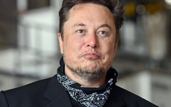 Thất vọng về nhà Glazer, CĐV M.U "cầu cứu" tỷ phú Elon Musk