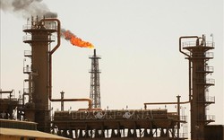 Iraq tìm kiếm cơ hội xuất khẩu thêm dầu vào thị trường châu Âu