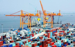 Doanh nghiệp xuất khẩu lỗi hẹn giao hàng vì phụ thuộc hãng tàu