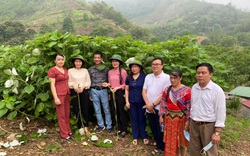 Công ty TNHH HTM Dragon Việt Nam mở ra hướng đi mới từ cây gai xanh cho bà con nông dân ở Sơn La