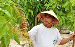 Nông thôn mới ở Tam Kỳ (Quảng Nam): Hoàn thành nhưng chưa phải là về đích