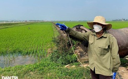 Chuyên gia cảnh báo "dễ mua khó bán" khi giá bất động sản tăng vù vù