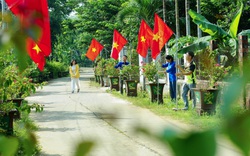 Thanh niên trồng cây cảnh, trồng hoa khiến đường làng này ở Quảng Nam đẹp ngỡ ngàng 
