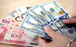 Đồng USD tiếp đà tăng