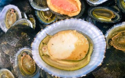 Ẩm thực Côn Đảo: Đặc sản biển quý hiếm với cái tên gọi gợi cảm, ăn vào cảm nhận vị ngọt, thơm