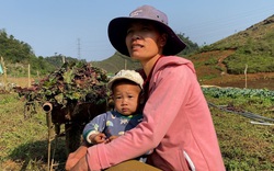 Sơn La: Cô gái người Tày vượt lên nghịch cảnh, làm giàu từ mô hình trồng rau sạch