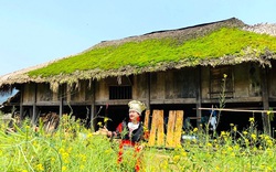 Vùng quê cổ tích Hà Giang, khách ta, người Tây đến chỉ đứng ngắm mái nhà không biết chán