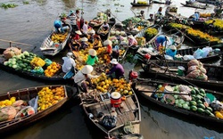 Làm gì để Đồng bằng sông Cửu Long thành nơi đáng sống: Sống trên vựa lúa, cái nghèo vẫn đeo đuổi (Bài 1)