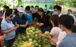 Thí điểm cho tiểu thương TP.HCM mua hàng trực tiếp từ nhà vườn