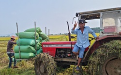 Bà Rịa-Vũng Tàu: Lúa tốt đầy đồng, nông dân nói 30 năm trồng lúa chưa năm nào khó bán như năm nay