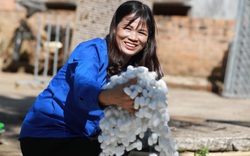 Giá bán "tổ sâu" này tăng cao chưa từng có, đạt 230.000 đồng/kg, người làm nghề "ăn cơm đứng" ở Lâm Đồng vui quá!
